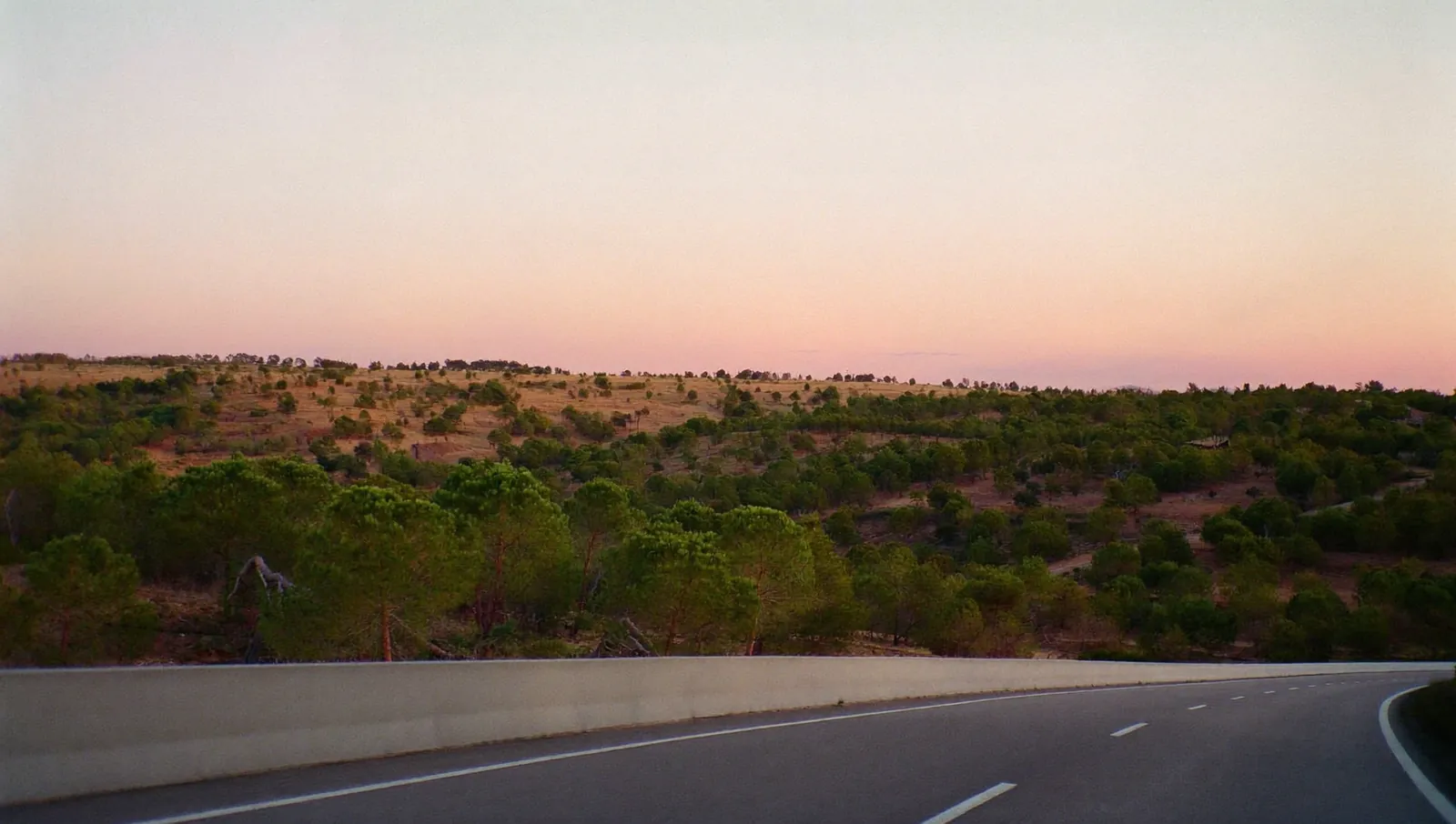 Une autoroute au lever du jour entre les pins